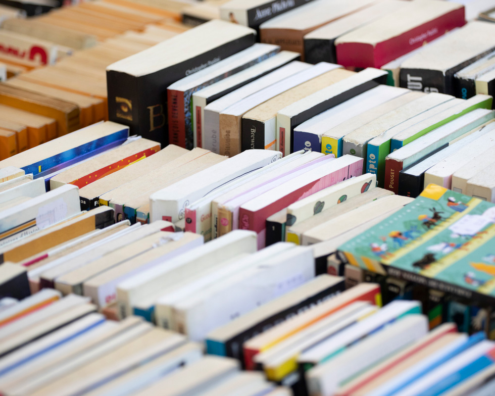Rows of various books lined up on a table, showcasing a diverse collection of spines and titles.